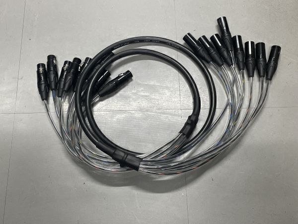 MR202-8AT CANARE カナレ XLR-XLR 8chマルチケーブル 約2M その2