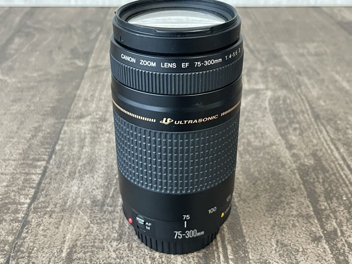 1円 送料無料 Canon EF 75-300mm F4-5.6 II USM キヤノン 望遠ズームレンズ 純正 AF 軽量 高速AF ウルトラソニック フード付/キャップ付