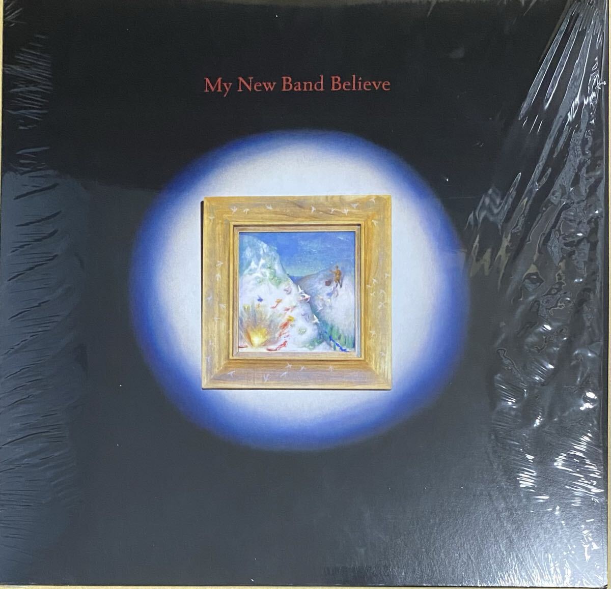 My New Band Believe LP アナログ レコード 通常盤　EUオリジナル 新品同様 black midi