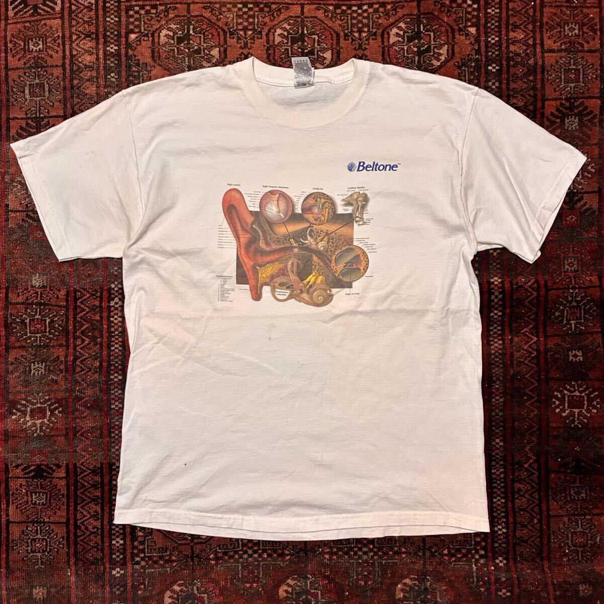 90s Beltone 耳 解剖図 Tシャツ XL FRUIT OF THE LOOM 人体図 医療系 企業T アートT ヴィンテージ USA製 解剖学 USA ホワイト 1スタ