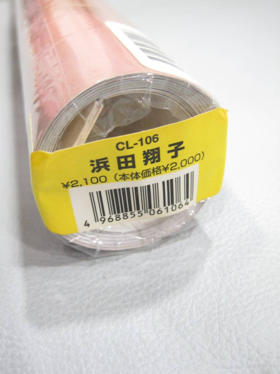 CL-025▼未開封品 浜田翔子 B2サイズ 2006 カレンダー CL-106 ※送料説明文記載 ※同梱不可