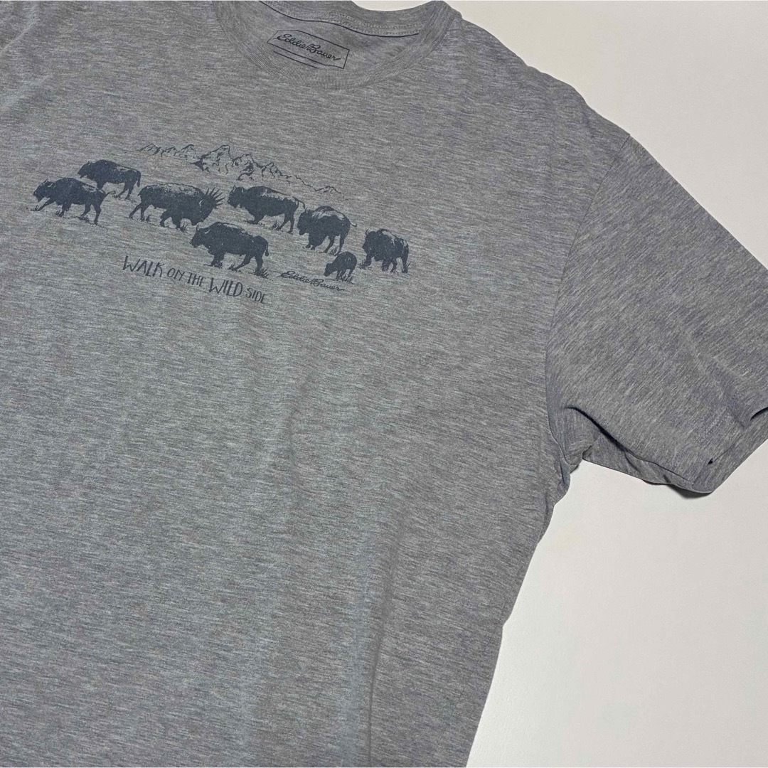 EddieBauer Tシャツ Lサイズ メンズ レディース