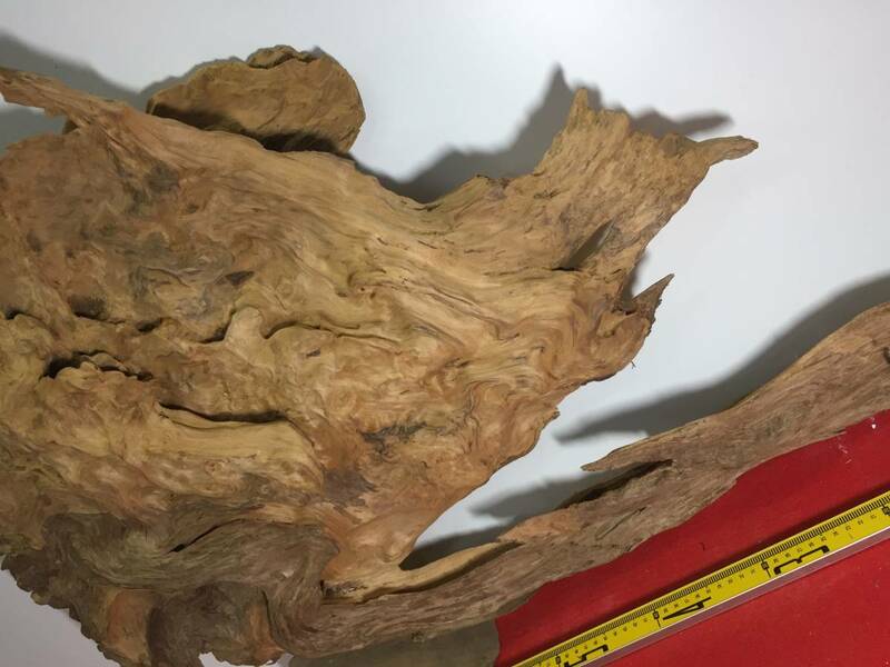 4-545材料 銘木屋久杉 世界遺産 逸品 竜のような 炎のような 非常に珍しい材料 オブジェ