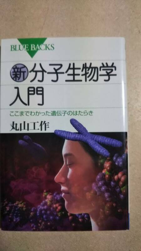 ブルーバックス　新分子生物学入門　丸山工作