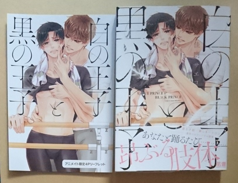 【　白の王子と黒の王子　】　佳門サエコ　リーフレット付き