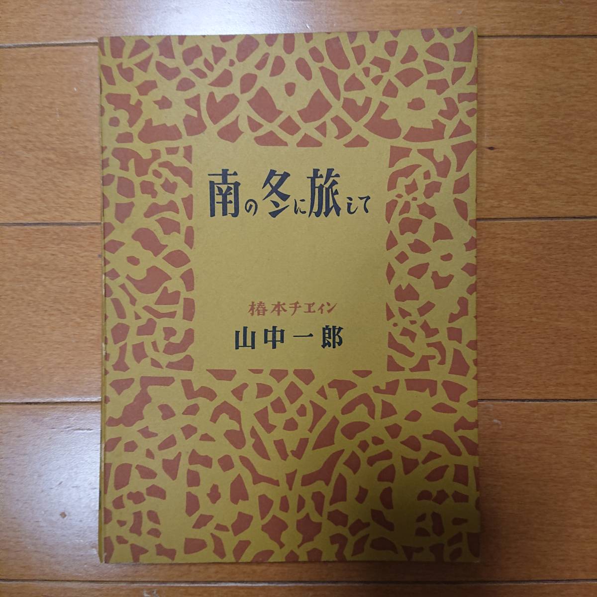 南の冬に旅して　山中一郎 椿本チエイン