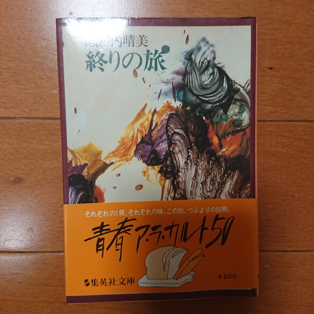 終りの旅　　瀬戸内晴美　