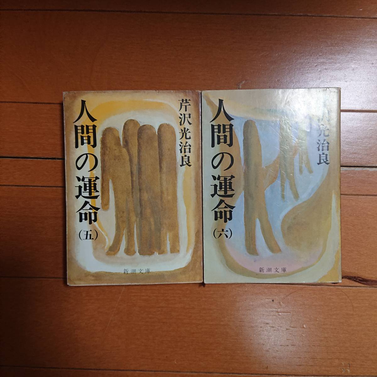 人間の運命（五）（六）2冊　芹沢光治良　
