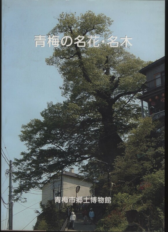 青梅の名花・名木　青梅市郷土博物館 平17　：御岳山の神代ケヤキ レンゲショウマ カツラ クスノキ 梅 ：東京都青梅市内 巨木 樹木 御神木