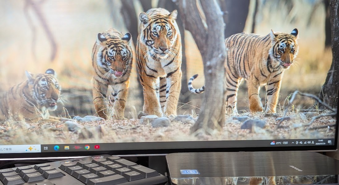 普通に使える超ミニPC!!快適です!!本体、USB keyboad＆mouse、LG24インチモニター4点セット電源コード付属