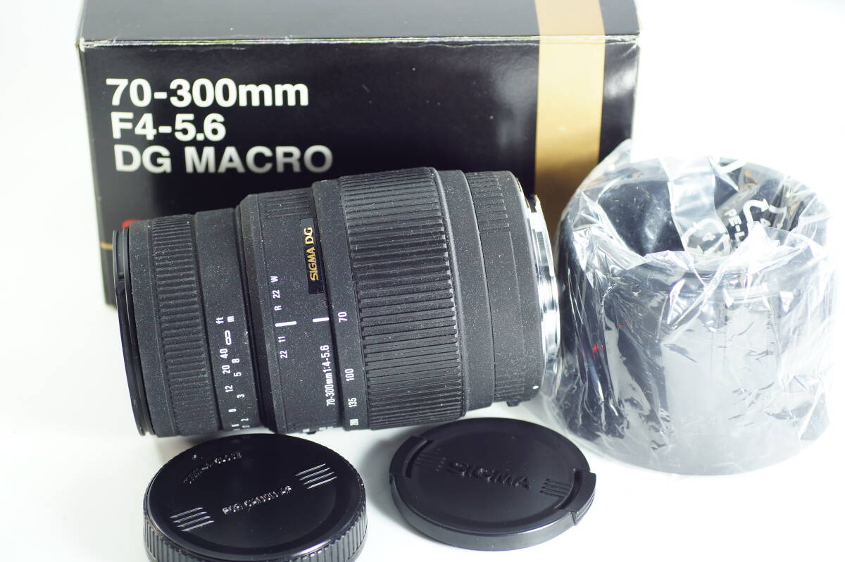 6A-102 EFマウント CANON用 SIGMA シグマ APO 70-300mm F4-5.6 DG MACRO 望遠ズームレンズ フルサイズ キヤノン