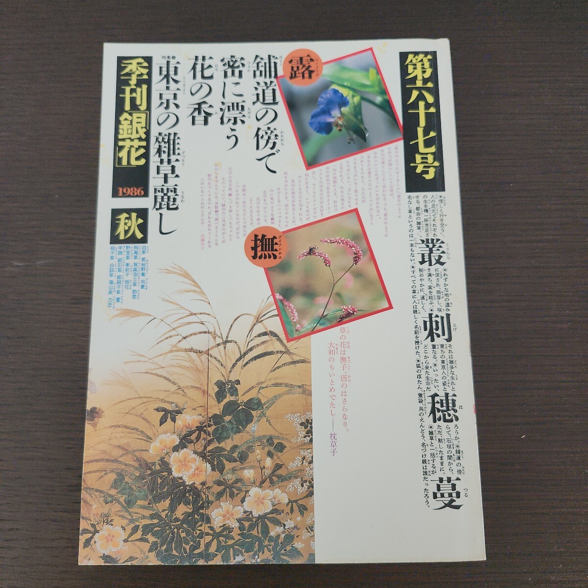 季刊銀花第６７号1986年秋 東京の雑草麗し　
