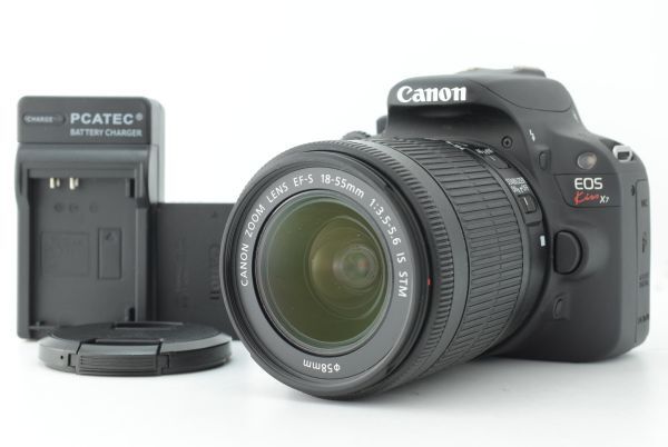 【美品 シャッターカウント 20491回】Canon EOS Kiss X7 / EF-S 18-55mm F3.5-5.6 IS STM キャノン デジタル一眼レフカメラ EF-TN-JP2770