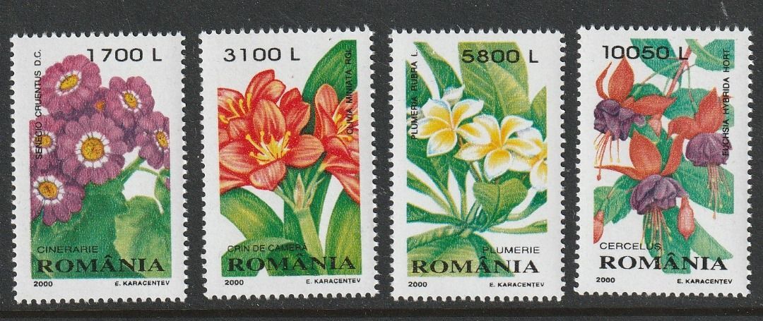 （ルーマニア）2000年花4種完、スコット評価2.85ドル