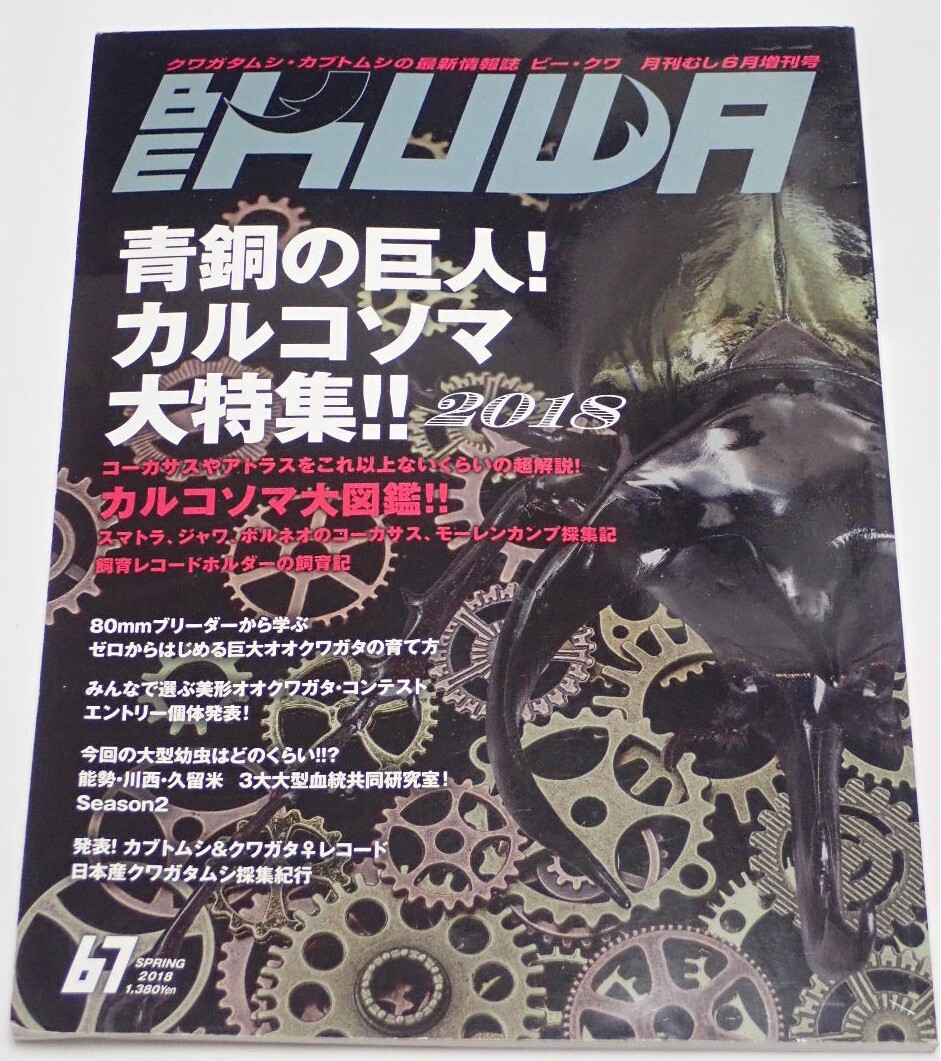 BE KUWA ビークワ No.67■青銅の巨人！カルコソマ大特集｜大図鑑／ジャワ・ボルネオ採集記／コーカサス飼育法／日本産クワガタムシ採集紀行