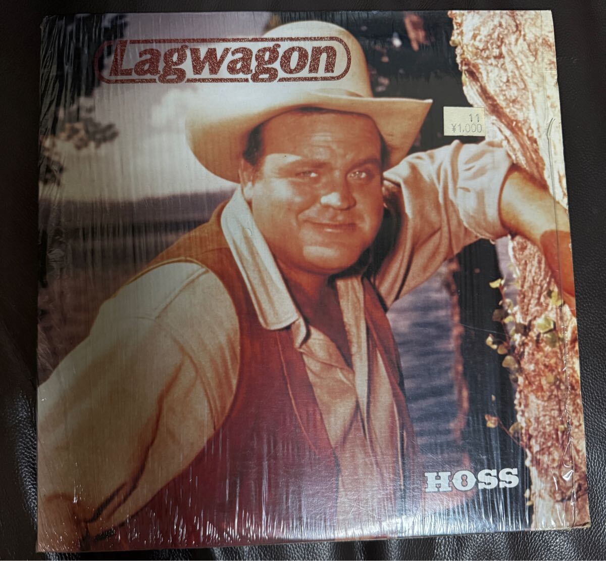 1995USオリジナル盤 Lagwagon ラグワゴン Hoss LP レコード　　 - FAT532-1