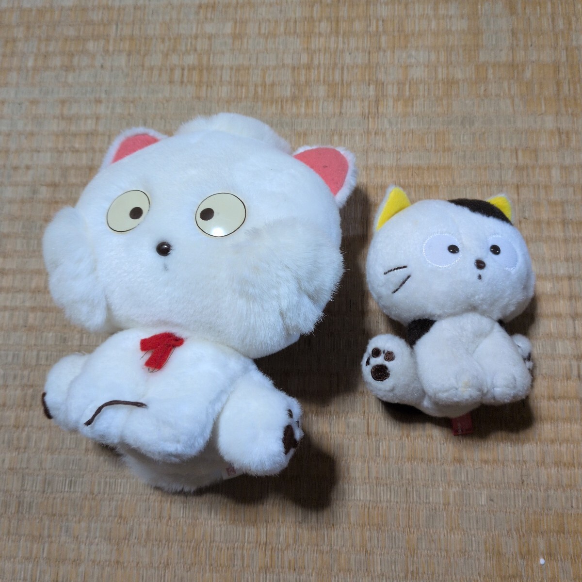 うちのタマ知りませんか タマ　モモ ぬいぐるみ 当時物