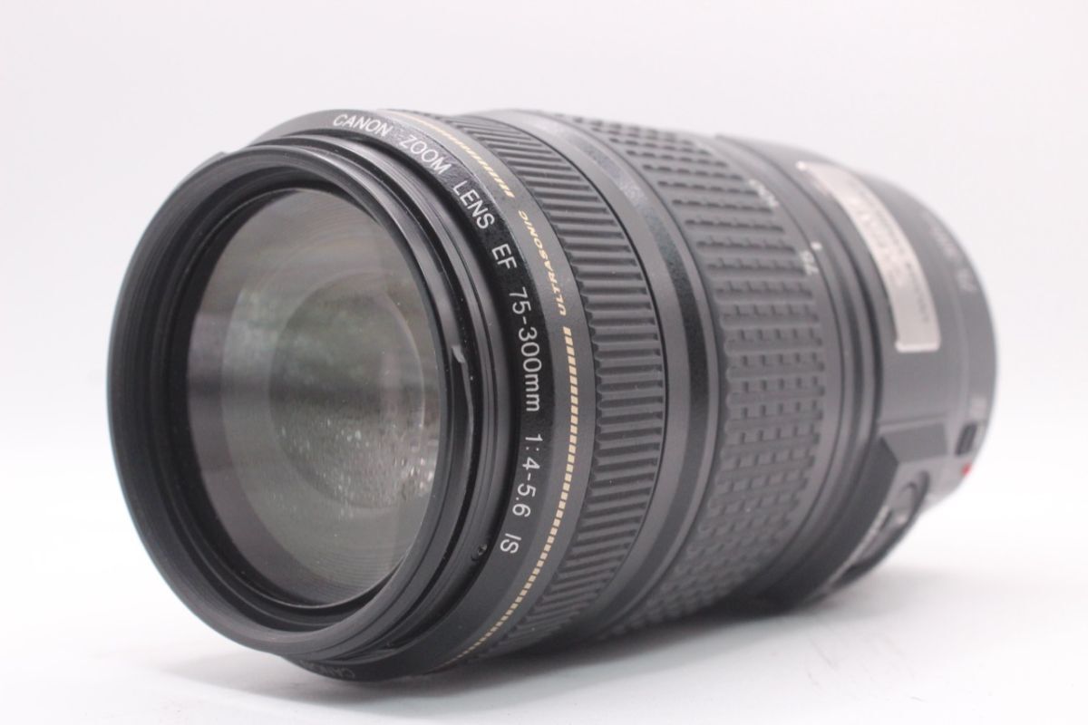 キヤノン CANON EF 75-300mm F4-5.6 IS USM #051@x RO5382