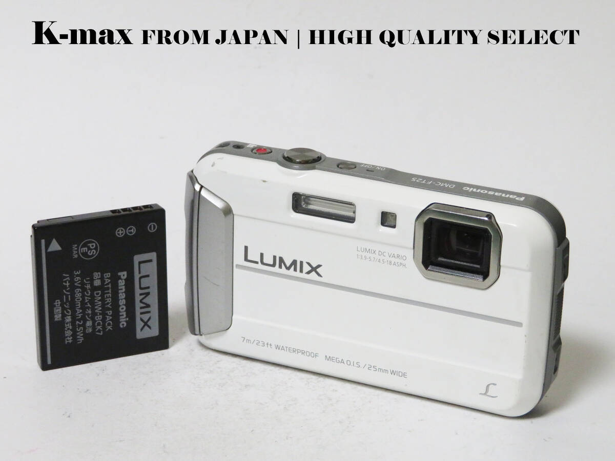 【極上美品】 Panasonic Lumix DMC-FT25 White 正常動作品 [Top Mint] Y2K CCD Sensor Classic #8520