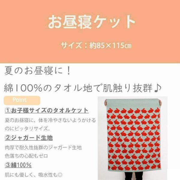 送料無料(北海道・沖縄別途）ウサギ柄 綿100％ お昼寝ケット 約85×115cm 丸眞 タオルケット アノラック ラビッツ