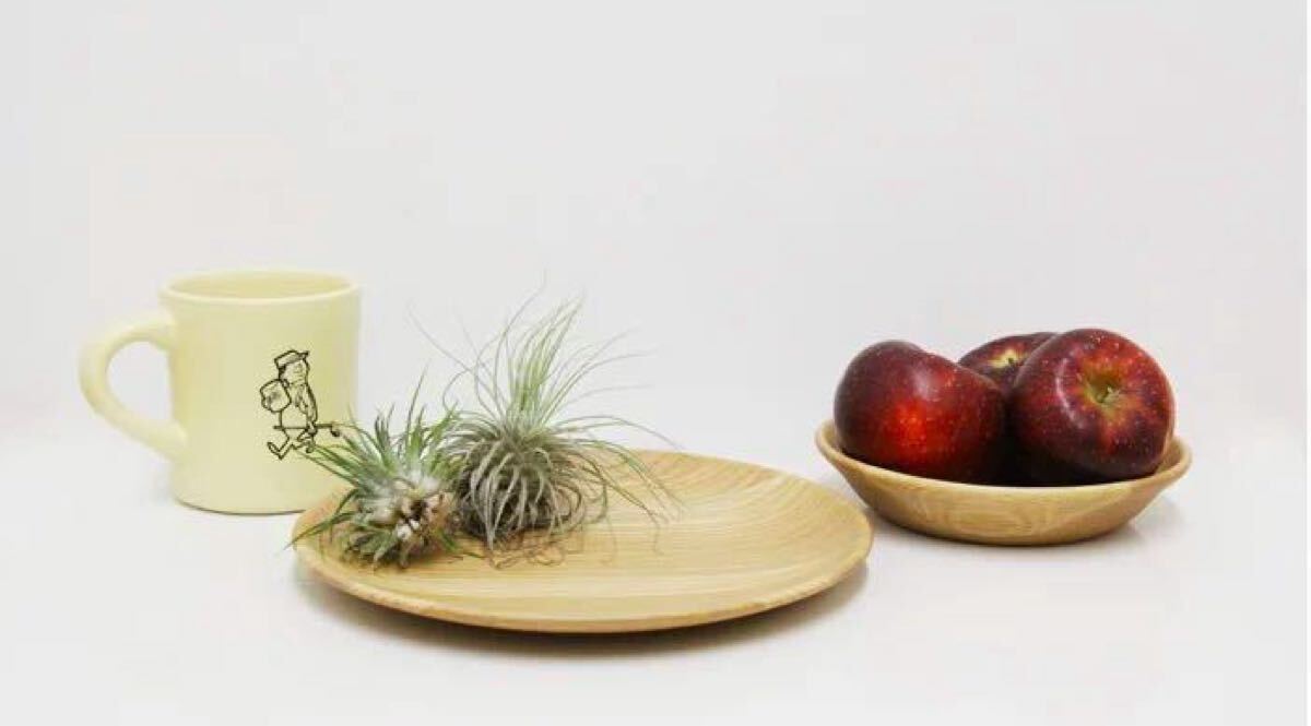 新品未使用２枚セット☆STUSSY Livin GENERAL STORE☆Wood Bowl☆ウッドボウル☆皿☆ステューシーリヴィンジェネラルストアリビン SUPREME