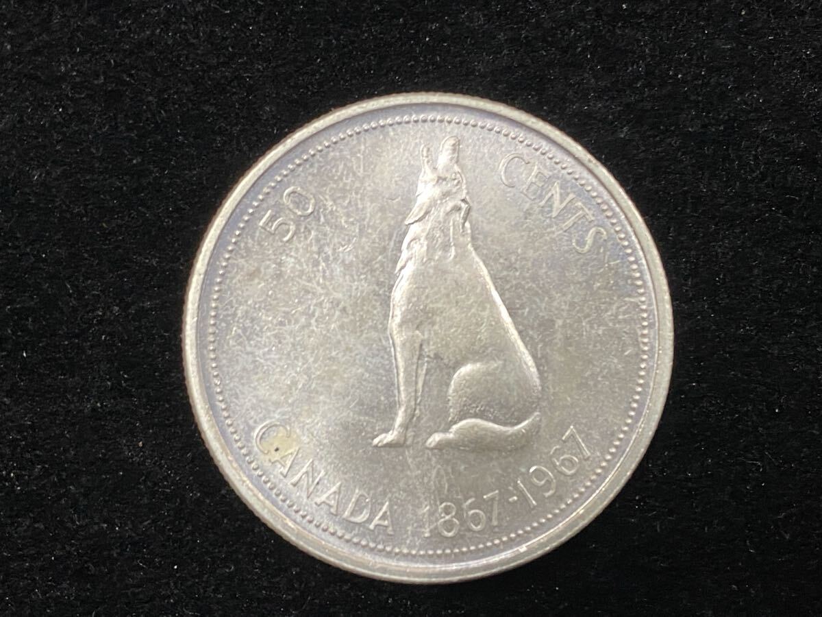 カナダ 1967年 50セント銀貨 建国100周年記念 オオカミ エリザベス2世 コイン/古銭-145