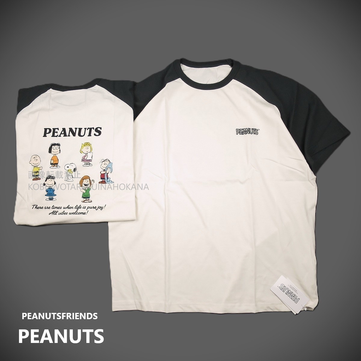 新品 ■ PEANUTS SNOOPY ピーナッツ 刺繍 バックプリント PEANUTS FRIENDS ラグラン 半袖Tシャツ 1007 /（PF2）F2 チャコ×アイ【F】