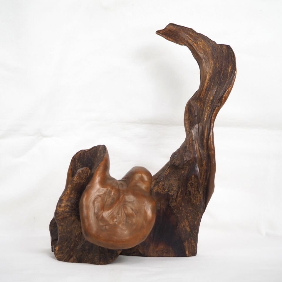 【金富士】★希少★大珍品　天然木　瘤木置物　約29×22×13ｃｍ　華道具煎茶道具 　検/紫檀花梨唐木中国古玩清時代民国茶道具茶杓