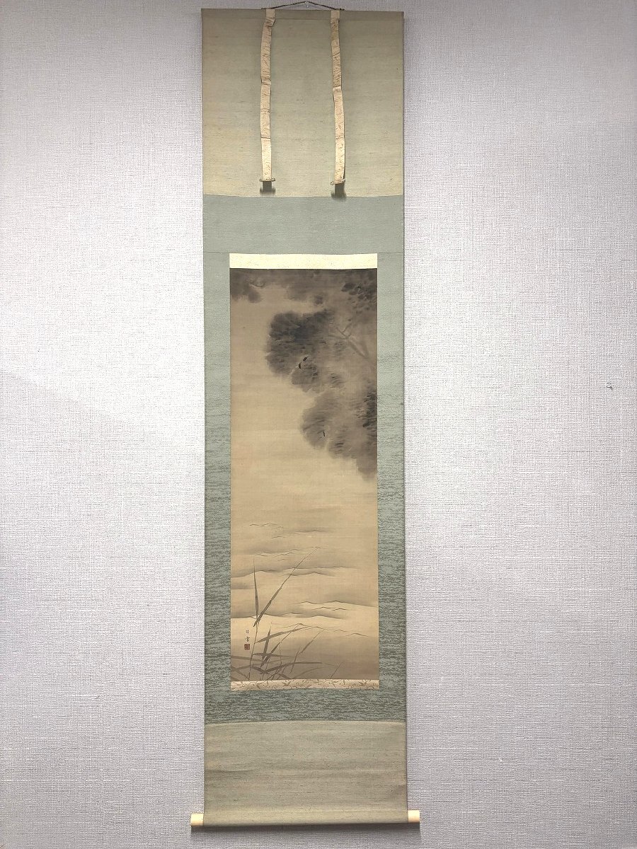 【41】【併売・店頭引取可】掛軸 岸竹堂 蛍図 日本画 幅49.7cm 高さ178cm ケース入り 風月 夏 骨董 アンティーク 長期保管