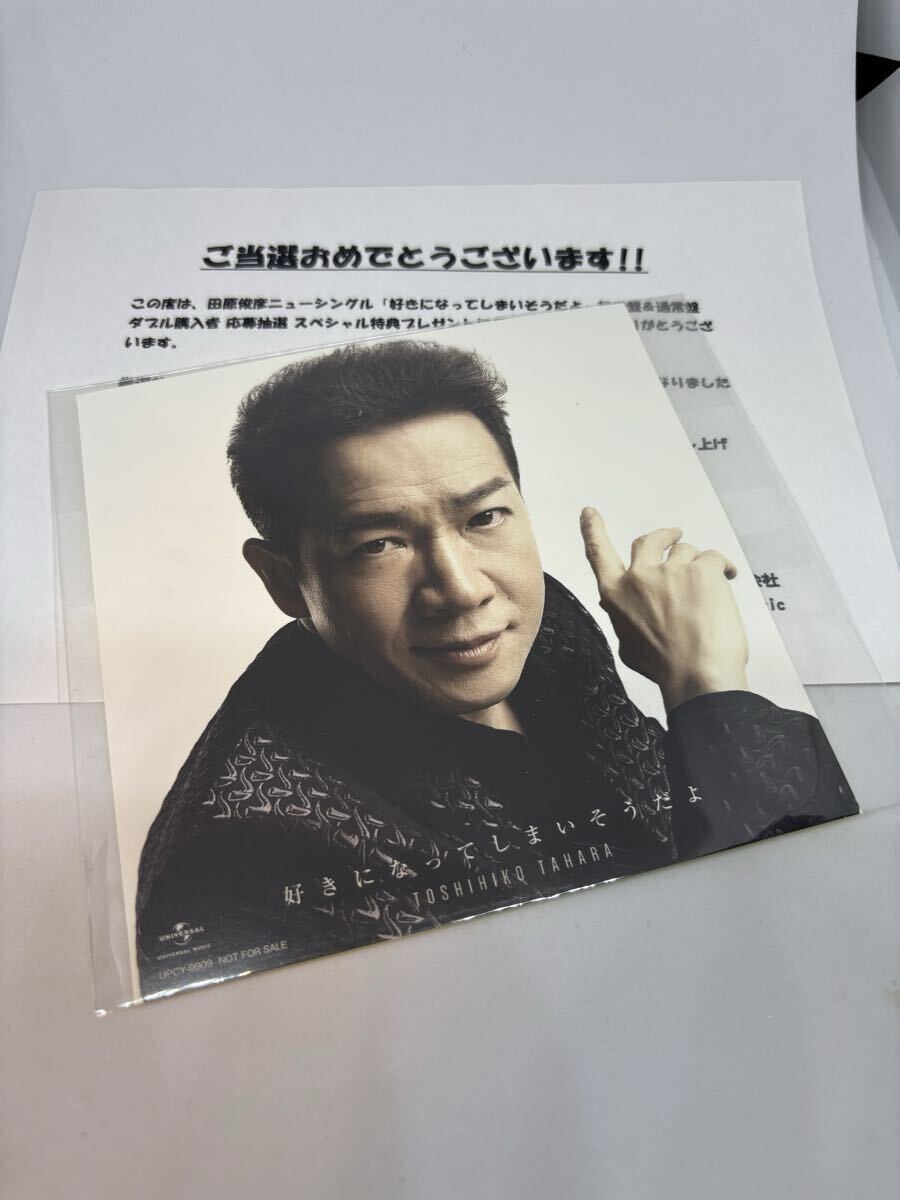 田原俊彦 好きになってしまいそうだよ オリジナルステッカー