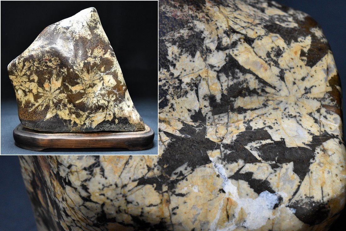 天然菊花石 観賞美術品 高19.5cm 横20cm 重量4.5kg 台付き 鑑賞石 天然石 置物 母岩 菊石 盆石 水石 原石 名石 自然石