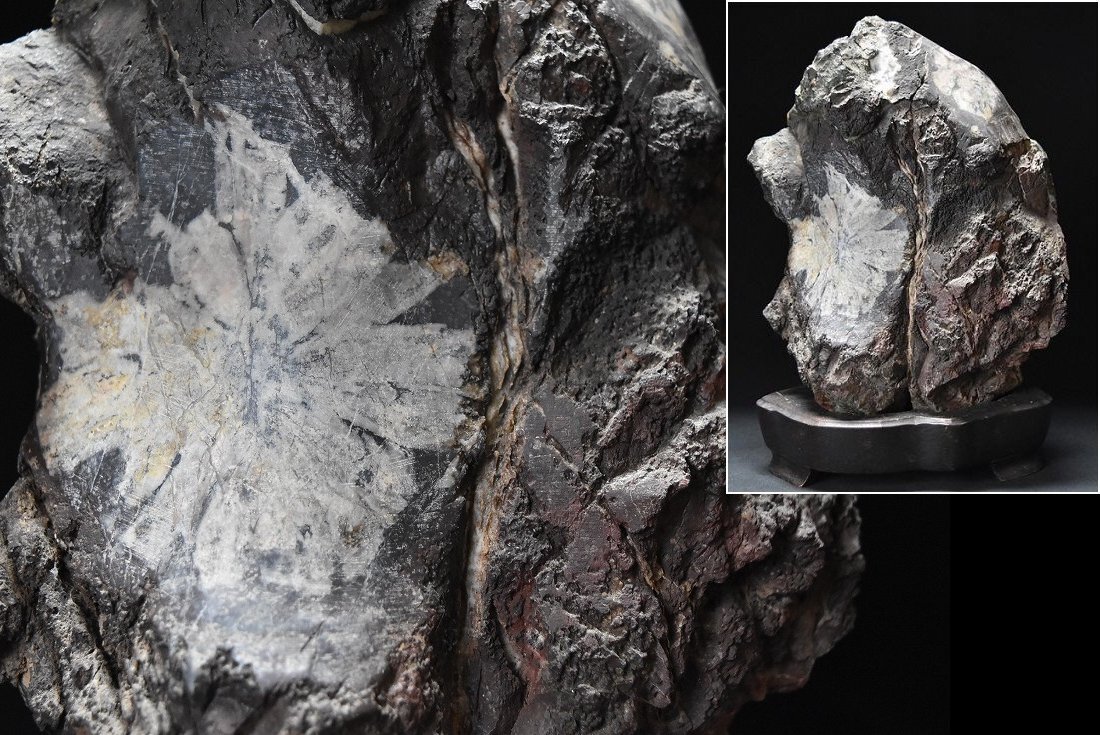 天然菊花石 観賞美術品 高26cm 横17cm 重量5.9kg 台付き 鑑賞石 天然石 置物 母岩 菊石 盆石 水石 原石 名石 自然石