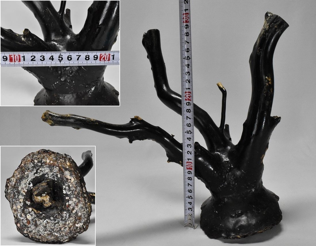 超極太 海松 黒珊瑚 黒サンゴ 枝 重量1467g/最太直径8cm　　　　　　検索語句)如意煎茶道具根付