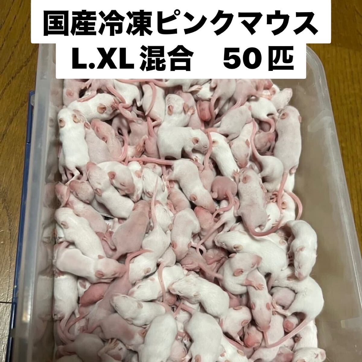 国産冷凍ピンクマウスL.XL 4.0g〜6.5g 混合50匹　送料別