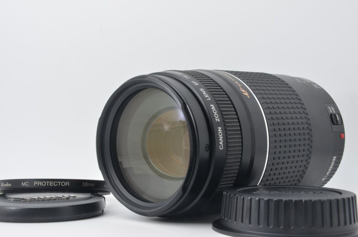 ★動作品★ キヤノン CANON EF 75-300mm F4-5.6 III USM L4477 #399