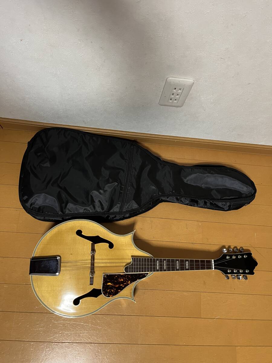 マンドリン　メーカー不明