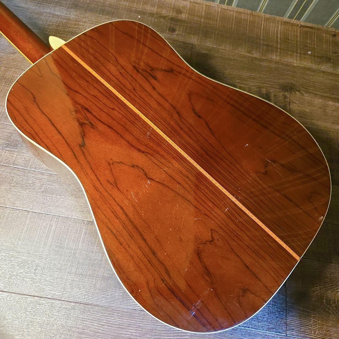 30周年モデル　縦ロゴ　Morris　モーリス　TF-50SP ジャパン　ギター