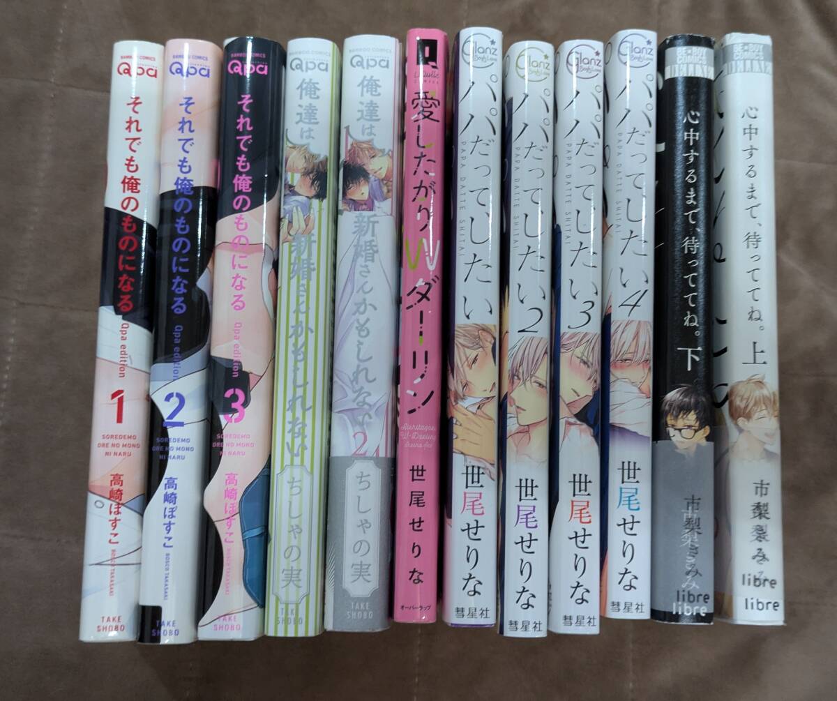 BLコミックス 12冊　それでも俺のものになる　俺達は新婚さんかもしれない　パパだってしたい　心中するまで待っててね　他