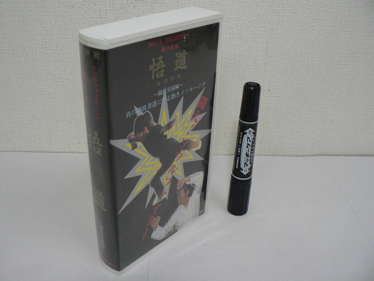 VHS ビデオ『SOUL FIGHTING 魂の武器 悟道 GODO : 闘技交流編』稲月一彦 壮神社 30分 / V11