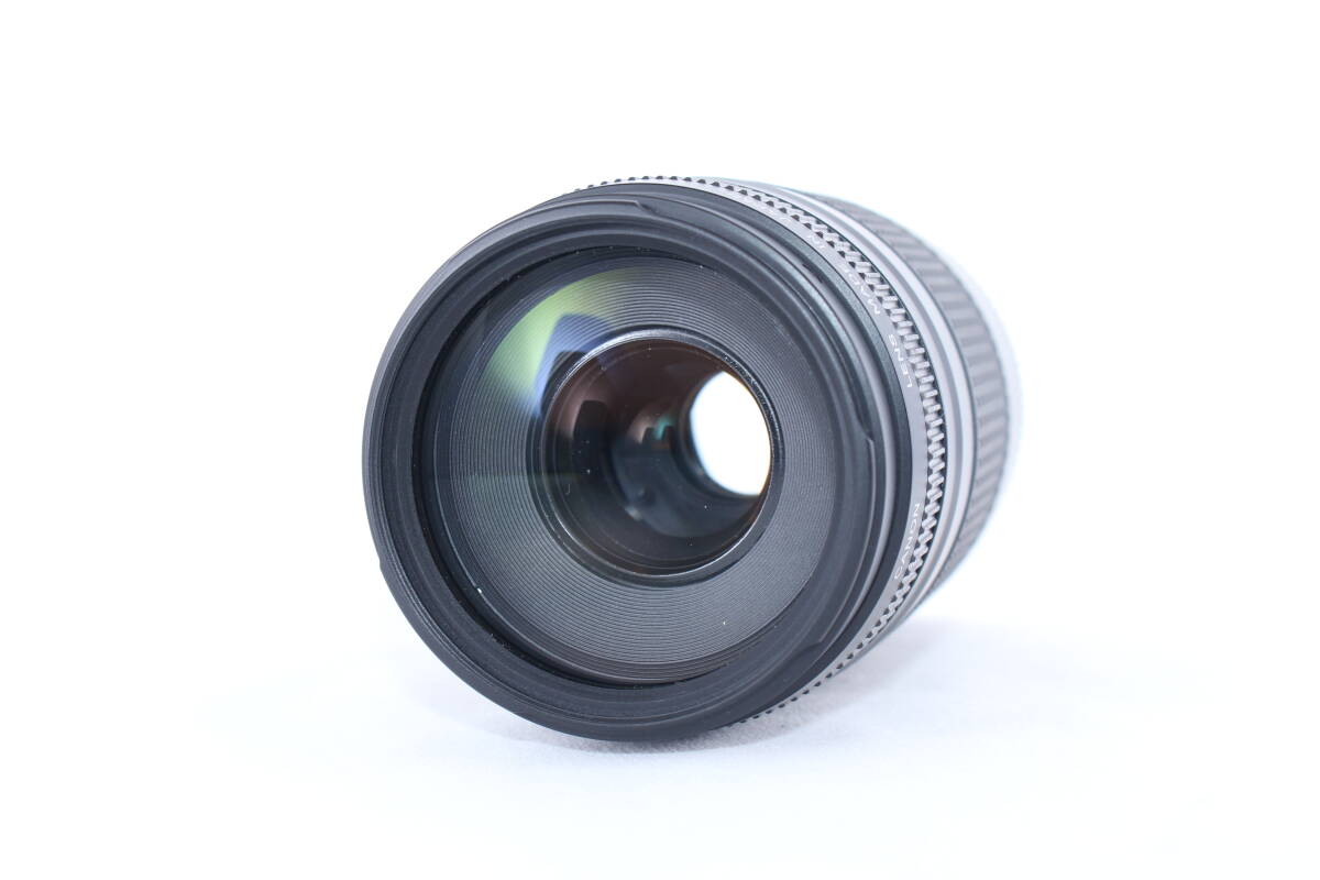 ★極上美品★キャノン CANON EF 75-300mm F4-5.6 III USM ★完動★#D689