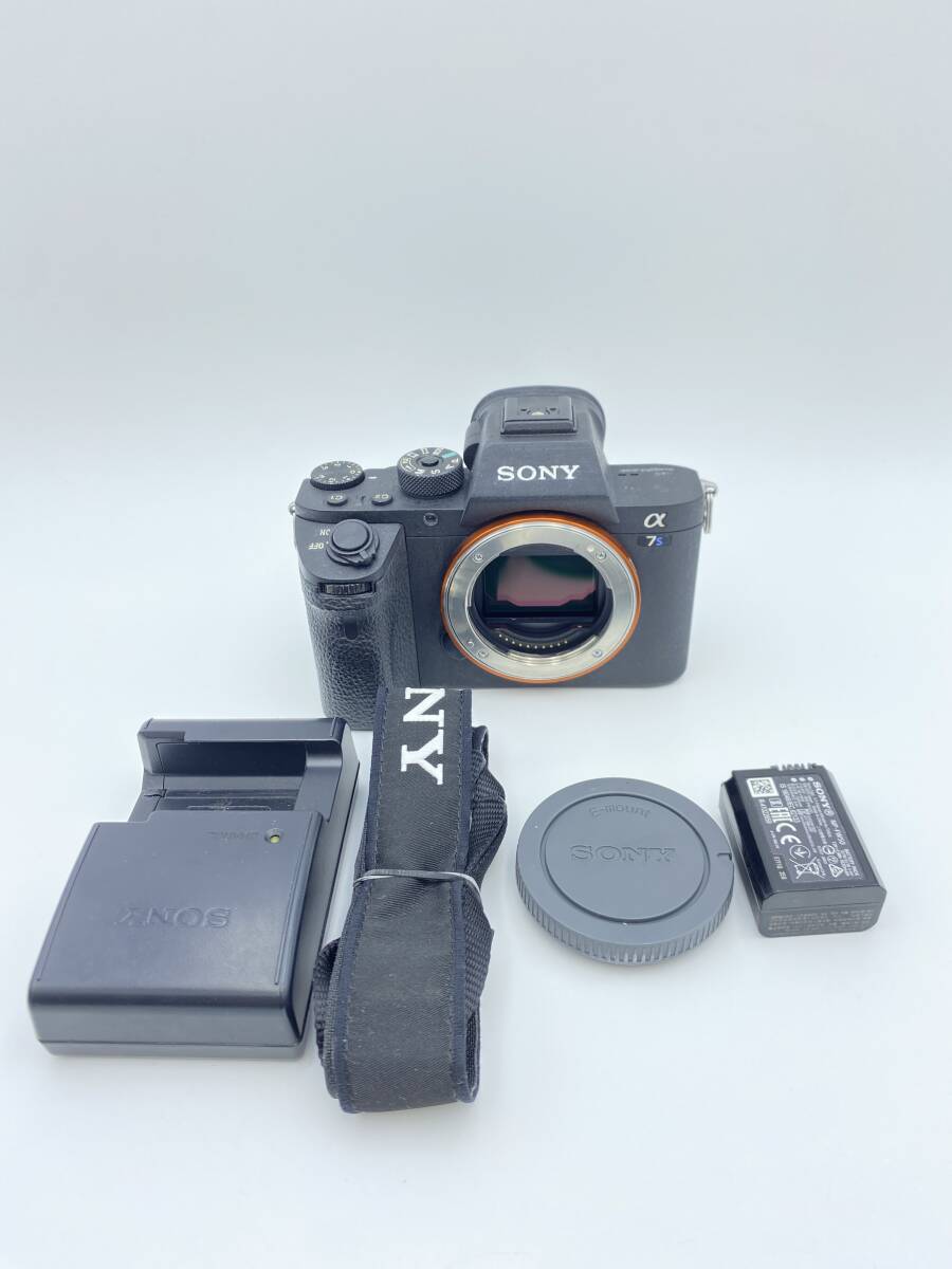 【動作確認済】SONY α7S II ボディ