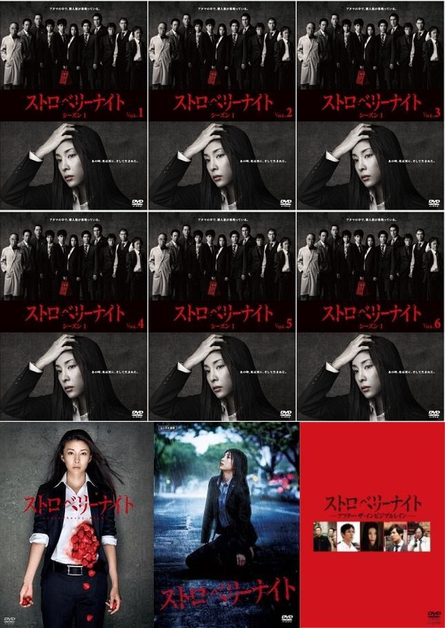 再生確認済レンタル落ち DVD「ストロベリーナイト」「映画」「アフター・ザ・インビジブルレイン」（全 9 巻）送料 185/230/555/750 円～