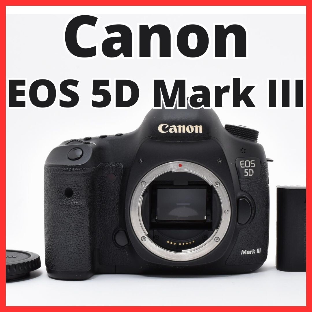 G05[8229] キヤノン Canon EOS 5D Mark III ボディ