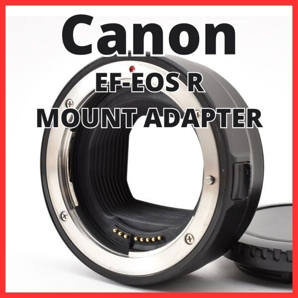 G18[8312]7 キヤノン Canon EF-EOS R マウントアダプター MOUNT ADAPTER