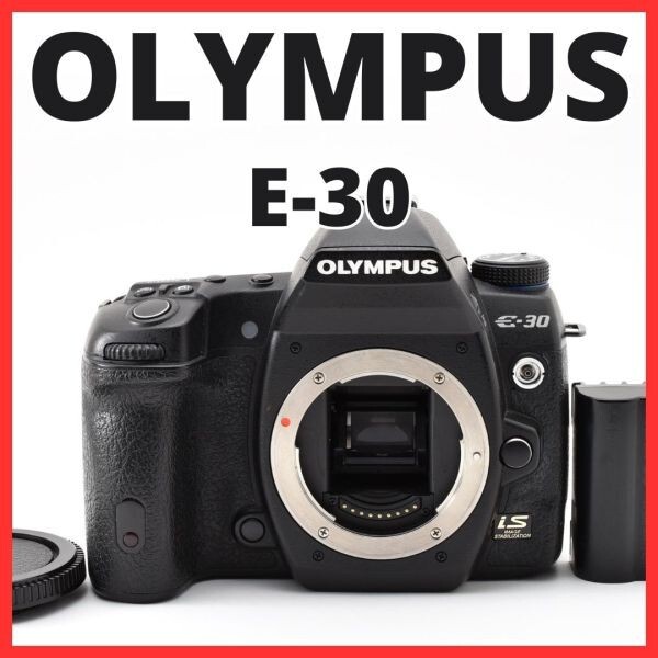 G18[8034]2★希少品★ オリンパス OLYMPUS E-30 ボディ