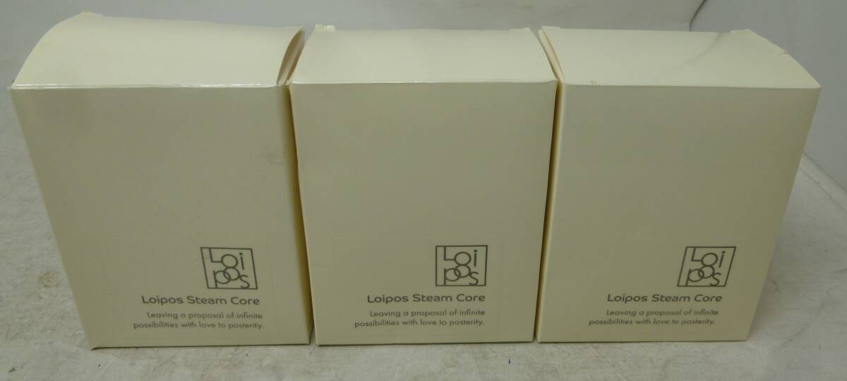 未使用 Loipos スチームコア(加水型発熱剤) 1箱10袋入り×3箱 [B-477] 送料無料(北海道・沖縄・離島・佐川急便中継料金がかかる地域は除く)
