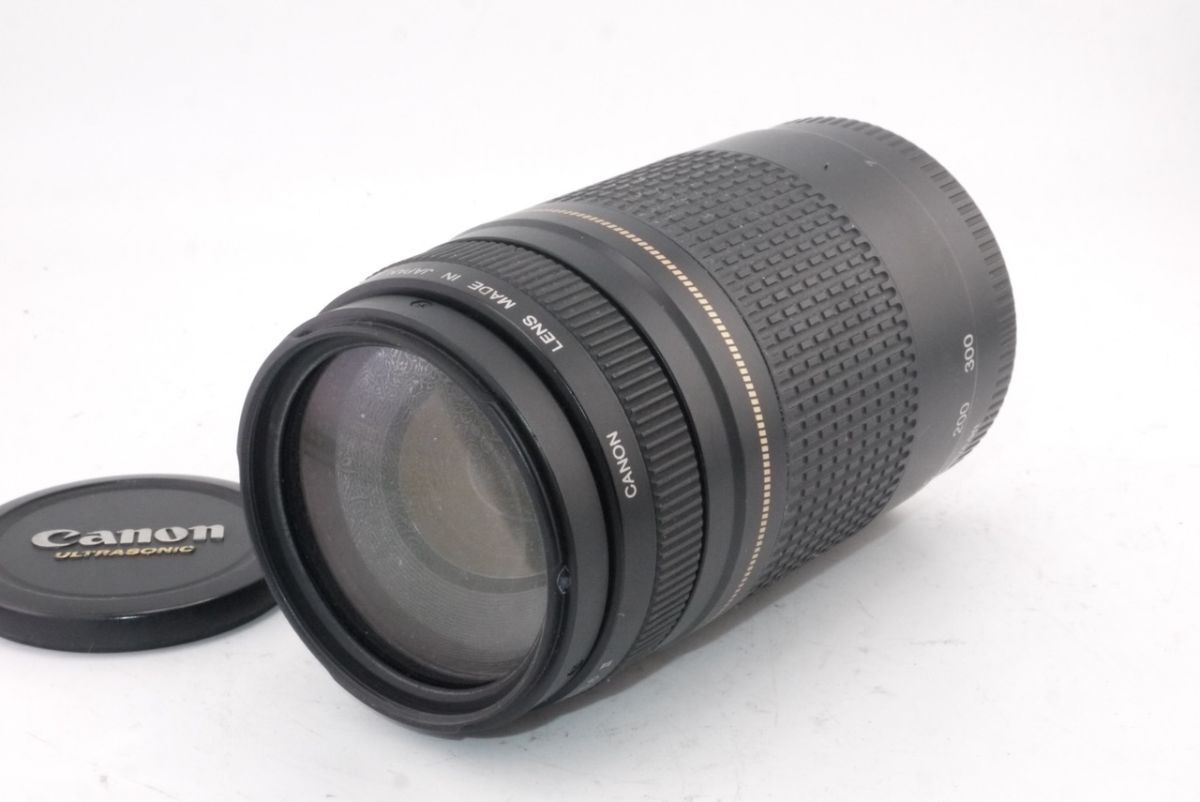 キヤノン CANON EF 75-300mm F4-5.6 II USM #3083 #0011