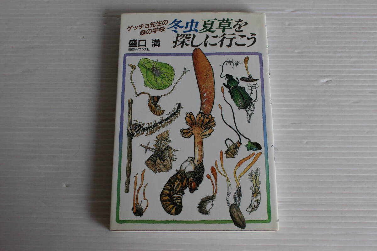 ゲッチョ先生の森の学校　冬虫夏草を探しに行こう　盛口満 著　