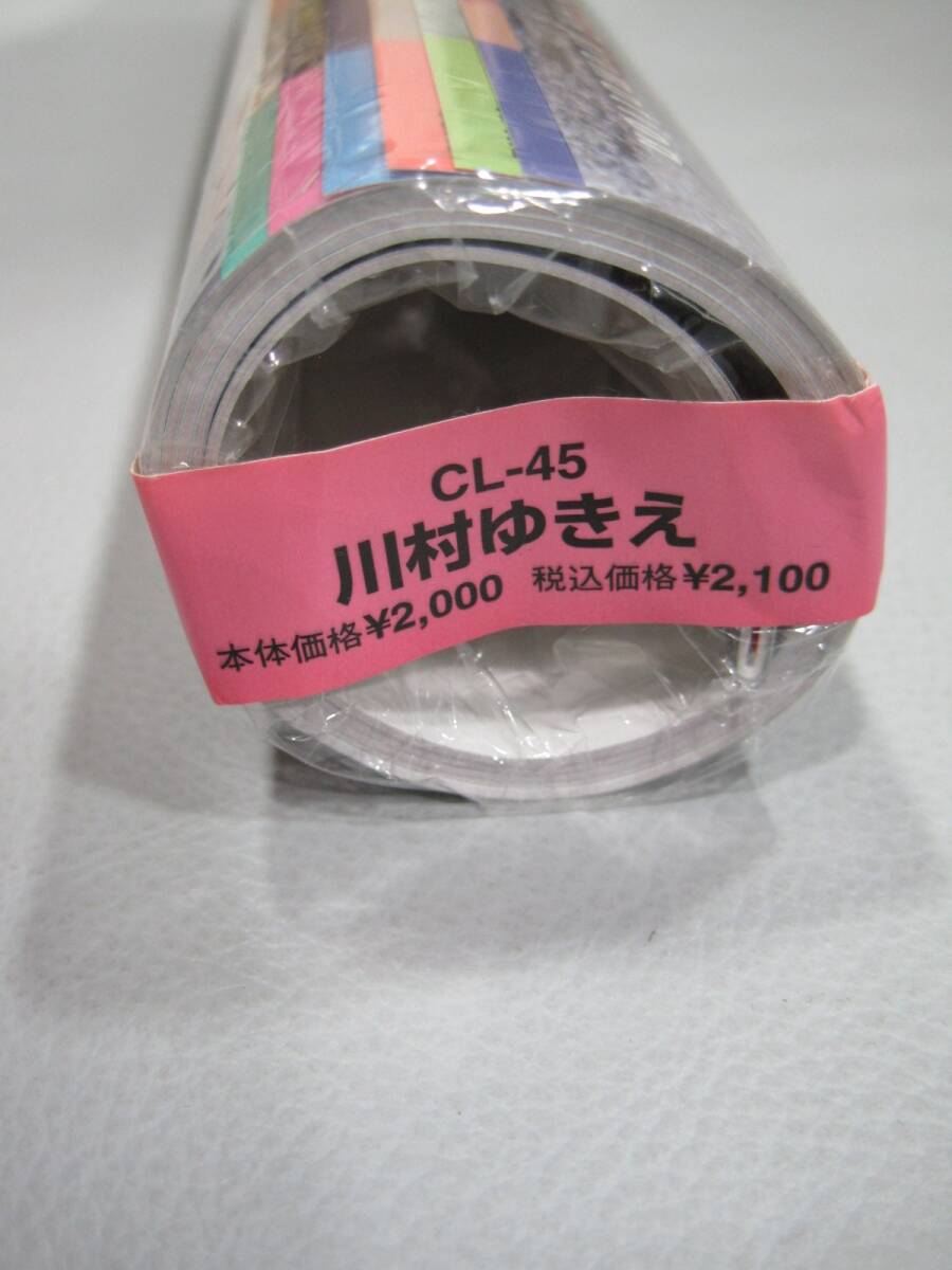 CL-061▼未開封品 川村ゆきえ B2サイズ 2005 カレンダー CL-45 アイドル ※送料説明文記載 ※同梱不可
