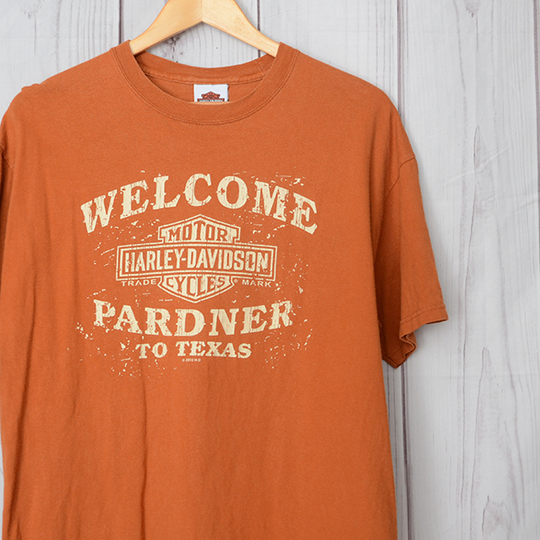 BT2250 ハーレーダビッドソン HARLEY DAVIDSON Tシャツ L 肩54 バイク メール便可 xq